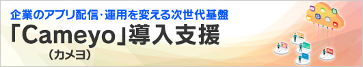「Cameyo(カメヨ)」導入支援